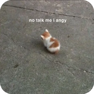🐱 emoji Belongs to @kCuteBaby Telegram sticker 23 of 92