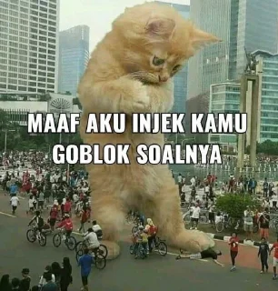 🤭 emoji Nyolong = Dongo 💁‍♀ Telegram sticker 16 of 51