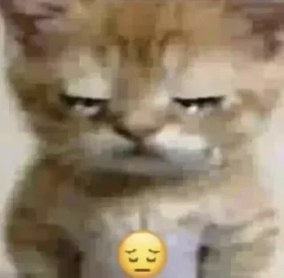 😭 emoji retarded @shewbh Telegram sticker 7 of 47