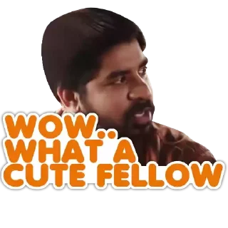 😊 emoji Ee Nagaraniki Emaindhi Telegram sticker 23 of 30