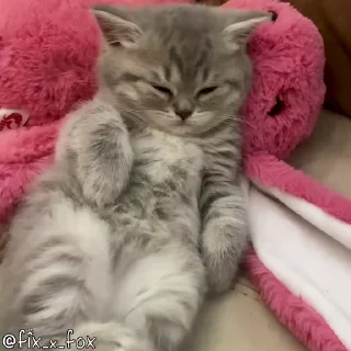 😴 emoji ᴛᴇᴀᴍ ᴛғᴄ ᴘʀᴏ  @GIFS_4U Telegram sticker 8 of 101