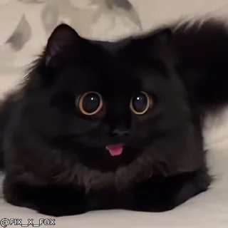 😍 emoji ᴛᴇᴀᴍ ᴛғᴄ ᴘʀᴏ  @GIFS_4U Telegram sticker 5 of 101