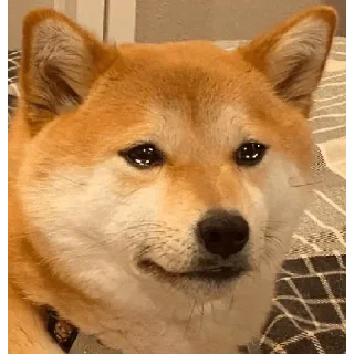 🥺 emoji A I Z E Ns kang pack Telegram sticker 4 of 77