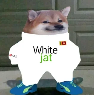 Sticker from Pack D