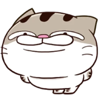 Sticker from 肖阿咪 動態表情貼 @moe_sticker_bot