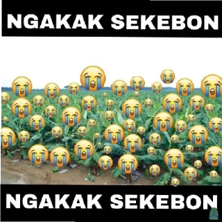 😭 emoji Sok asiq bet beliau ini Telegram sticker 10 of 20