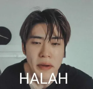 ☺️ emoji hak asa Telegram sticker 24 of 24
