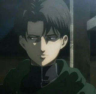 Sticker from Levi Ackerman