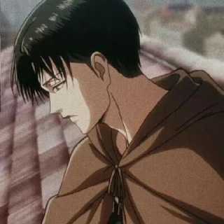 Sticker from Levi Ackerman