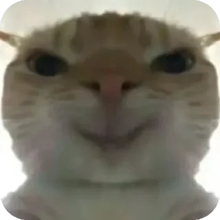 😁 emoji 鼠鼠猫猫头@Thesu_suyu Telegram sticker 23 of 37