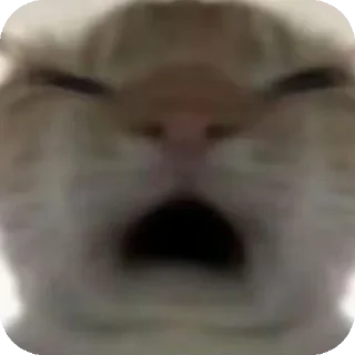😑 emoji 鼠鼠猫猫头@Thesu_suyu Telegram sticker 1 of 37