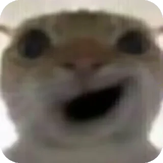 😏 emoji 鼠鼠猫猫头@Thesu_suyu Telegram sticker 10 of 37