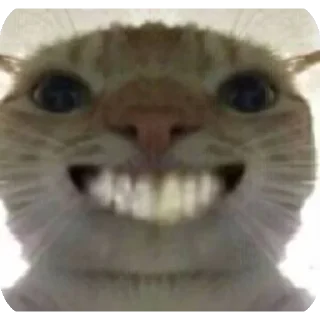 😁 emoji 鼠鼠猫猫头@Thesu_suyu Telegram sticker 19 of 37