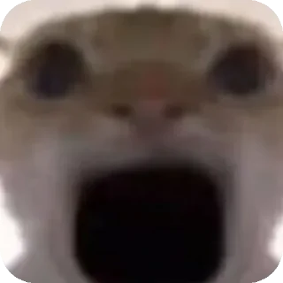 😱 emoji 鼠鼠猫猫头@Thesu_suyu Telegram sticker 17 of 37