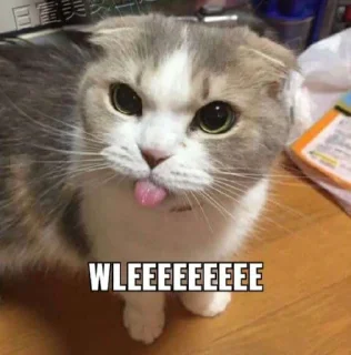 😝 emoji random hehe Telegram sticker 10 of 76