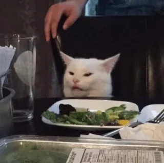 😐 emoji @chkthnxx got no pussy Telegram sticker 21 of 30