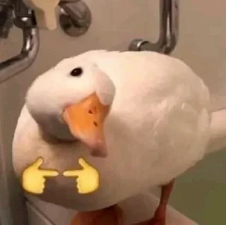 🥺 emoji @chkthnxx got no pussy Telegram sticker 8 of 30