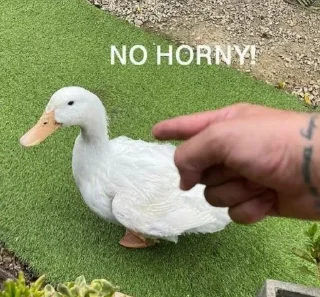 😳 emoji @chkthnxx got no pussy Telegram sticker 7 of 30