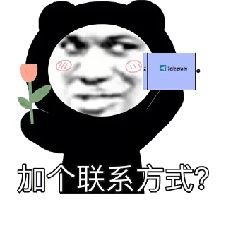 Sticker from 程序开发搭建 @TG95878