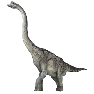Sticker from Dinosaurs @PunjabiSticker