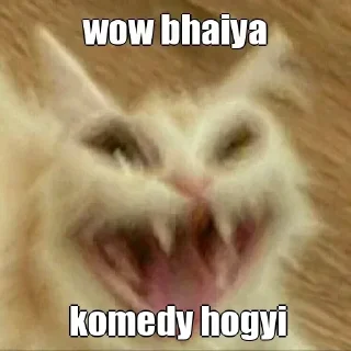 😂 emoji Wow Bhaiya By @stickers_wld Telegram sticker 15 of 15