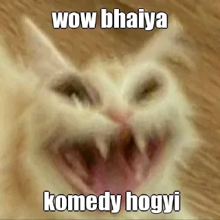 🤣 emoji Zayn's wow bhaiya Telegram sticker 19 of 19