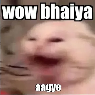 😎 emoji Zayn's wow bhaiya Telegram sticker 14 of 19