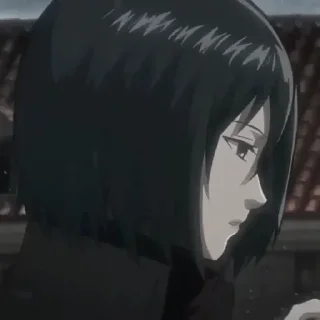 🧚‍♀ emoji Mikasa Ackerman • @valerangle Telegram sticker 11 of 87