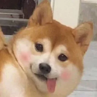 ❤️ emoji 电报必备资源👉@wlop3 Telegram sticker 16 of 70