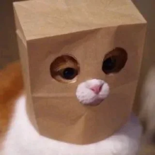 🙈 emoji Catu!_[@Its_me_Preet] Telegram sticker 19 of 55