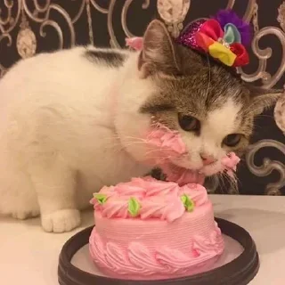 🎂 emoji Catu!_[@Its_me_Preet] Telegram sticker 7 of 55