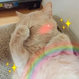 🙈 emoji Catu!_[@Its_me_Preet] Telegram sticker 20 of 55