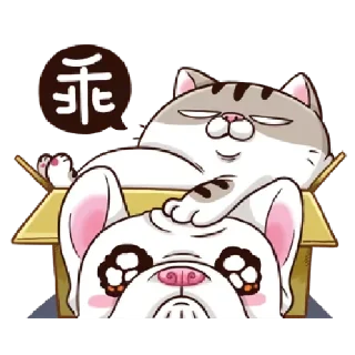 Sticker from 肖阿咪 1 中字&國際版 🐾 @StickerPlay_meow
