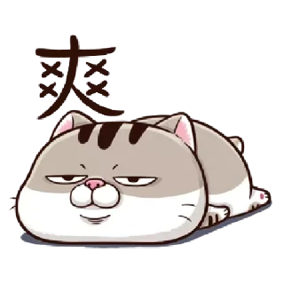 Sticker from 肖阿咪 1 中字&國際版 🐾 @StickerPlay_meow