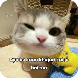 🐱 emoji DarkSanji @memes_verse Telegram sticker 14 of 51