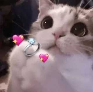 ❤️ emoji QT Saturn @the_absolute_zero Telegram sticker 6 of 120
