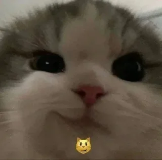 😼 emoji QT Saturn @the_absolute_zero Telegram sticker 11 of 120