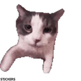 😽 emoji xlnci1 Telegram sticker 21 of 104