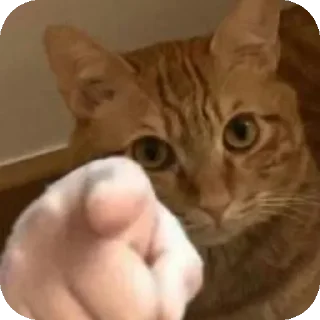 🐱 emoji 胡思乱想の霖 静态贴纸包(0) Telegram sticker 9 of 38