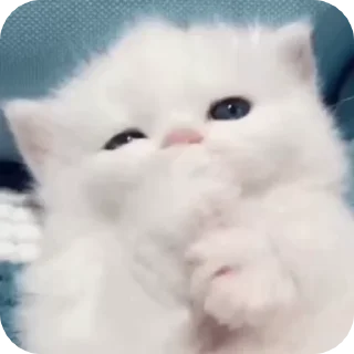 ⭐ emoji 心動小寶貝 @F76av Telegram sticker 16 of 52