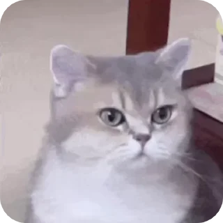 ⭐ emoji 心動小寶貝 @F76av Telegram sticker 5 of 52