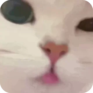 ⭐ emoji 心動小寶貝 @F76av Telegram sticker 11 of 52