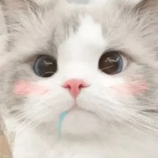 ✨ emoji 亚批真帅 Telegram sticker 16 of 24