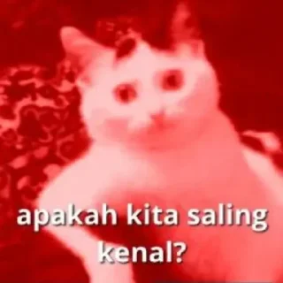 🤬 emoji @film_horor_indonesia_2026 Telegram sticker 17 of 50