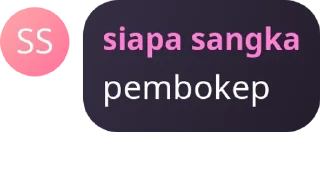 🕵‍♀️ emoji BIBD GACOR 🔥 (PEMERSATU PEMBO pack by @QuotLyBot Telegram sticker 5 of 120