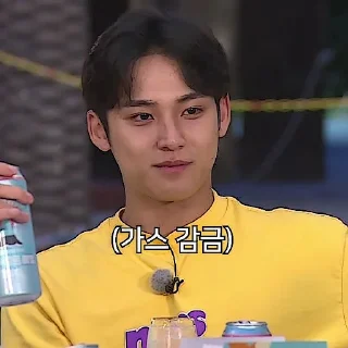 🧀 emoji Mingyu Dive into TTT #3 Telegram sticker 4 of 59