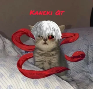 🙂 emoji 𝐆𝐨𝐣𝐨 𝐘𝐚𝐝𝐚𝐯's Qt Pack Telegram sticker 2 of 17