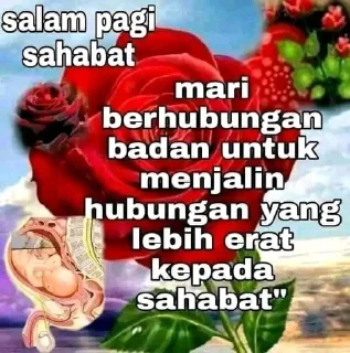 😹 emoji beliau ini samngat anak mim Telegram sticker 14 of 32