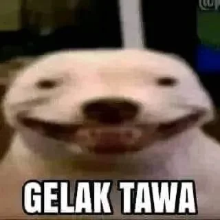 🤣 emoji beliau ini samngat anak mim Telegram sticker 16 of 32