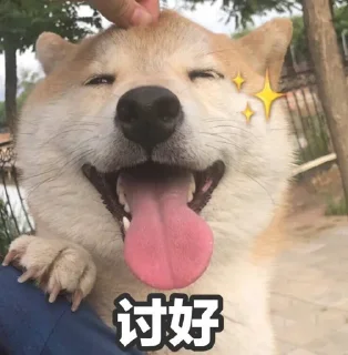 👀 emoji Cc stickers2  @DOGBUYBUY Telegram sticker 18 of 120